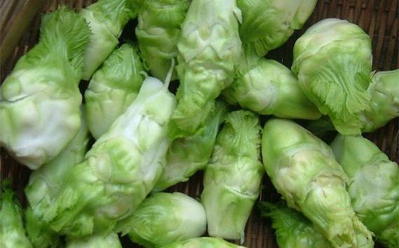 代怀的宝宝咳嗽吃什么蔬菜