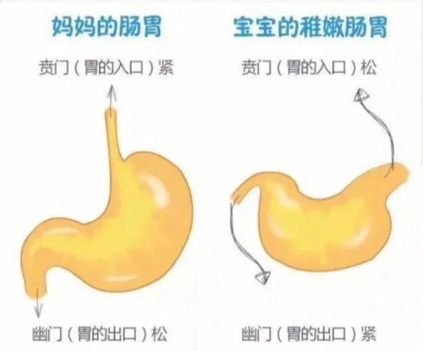 供卵代生的宝宝为什么总吐奶