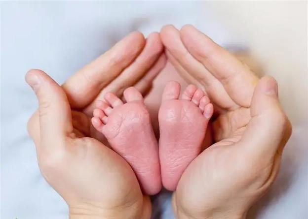 6个月的供卵试管婴儿宝宝吃什么