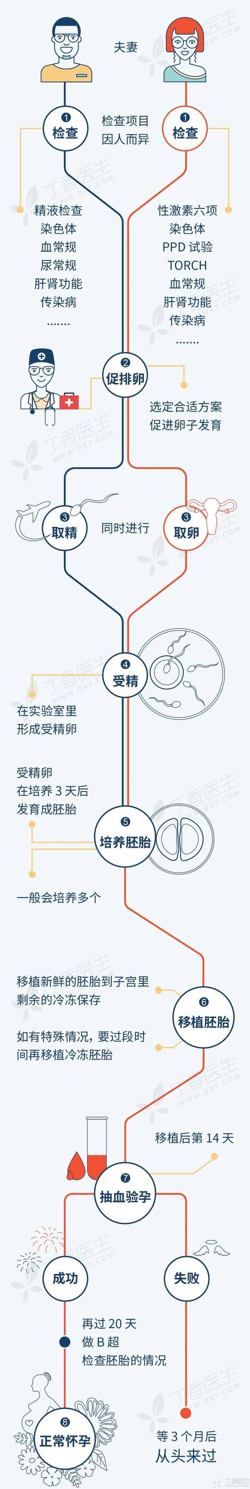 什么生肖的国内试管婴儿宝宝最好