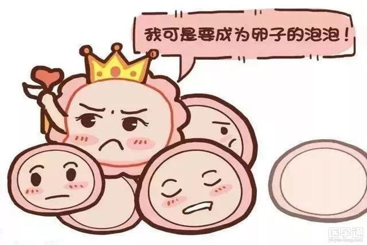 2岁供卵试管婴儿宝宝喝什么奶粉好